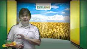 Farms.com Market School: Understanding Commodities Futures Options