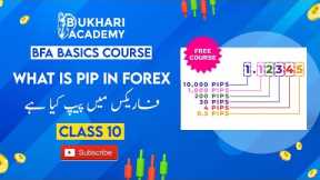 What is Pip in Forex | Class 10 | Free Basics Course | Bukhari Forex Academy