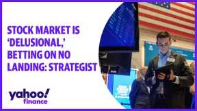 Stock market is 'delusional,' betting on no landing: Strategist