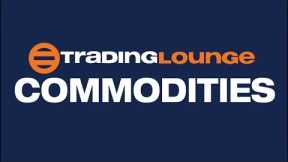 COMMODITIES: Bitcoin, Bonds, DXY, Gold, Silver, Iron Ore, Copper, Uranium, Oil, Gas. Elliott Wave