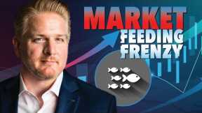 Stock Market Feeding Frenzy 🤯 Winners & Losers