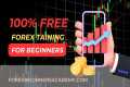 100% Free Forex Training | Forex