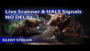 ​🌟Live Scanner  Stock Market scanner - Silent Stream (no-delay, voice only)  01/13/2025
