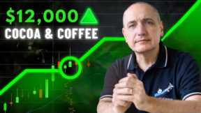 Commodity Trading: $12,000 Gained Since Early 2024 with 2 NEW Strategies for Cocoa and Coffee